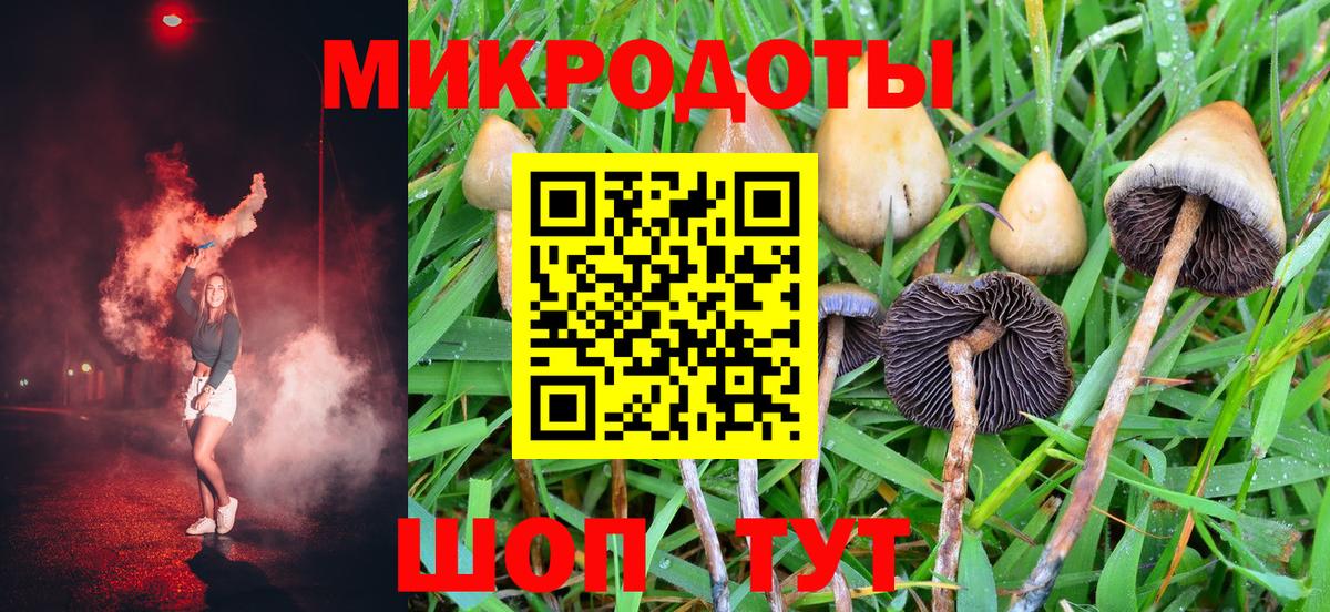 Псилоцибиновые грибы прущие грибы Нурлат