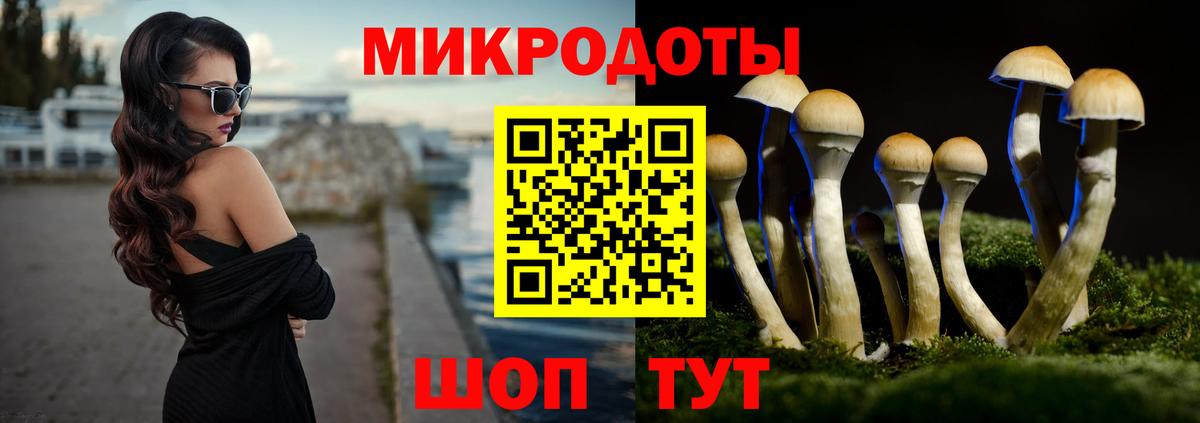 Галлюциногенные грибы Psilocybine cubensis  Вход с VPN  Нурлат  Галлюциногенные грибы Magic Shrooms 
